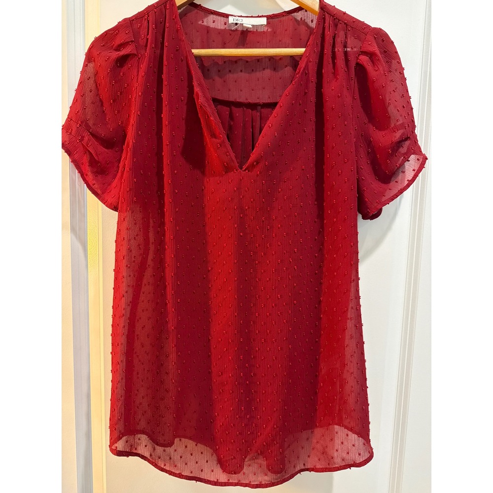 DR2 by Daniel Rainn Burgundy Swiss Dot V-Neck Flutter Sleeve Blouse Medium